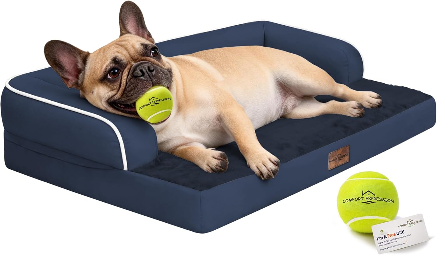 Comfort Expression Washable Orthopedic Dog Bed for Large Sized Dogs | Waterproof Memory Foam Pet Bed 36x27 Inch with Removable Cover, Pet Sofa Couch with Non-Slip & Bolster, Navy Blue