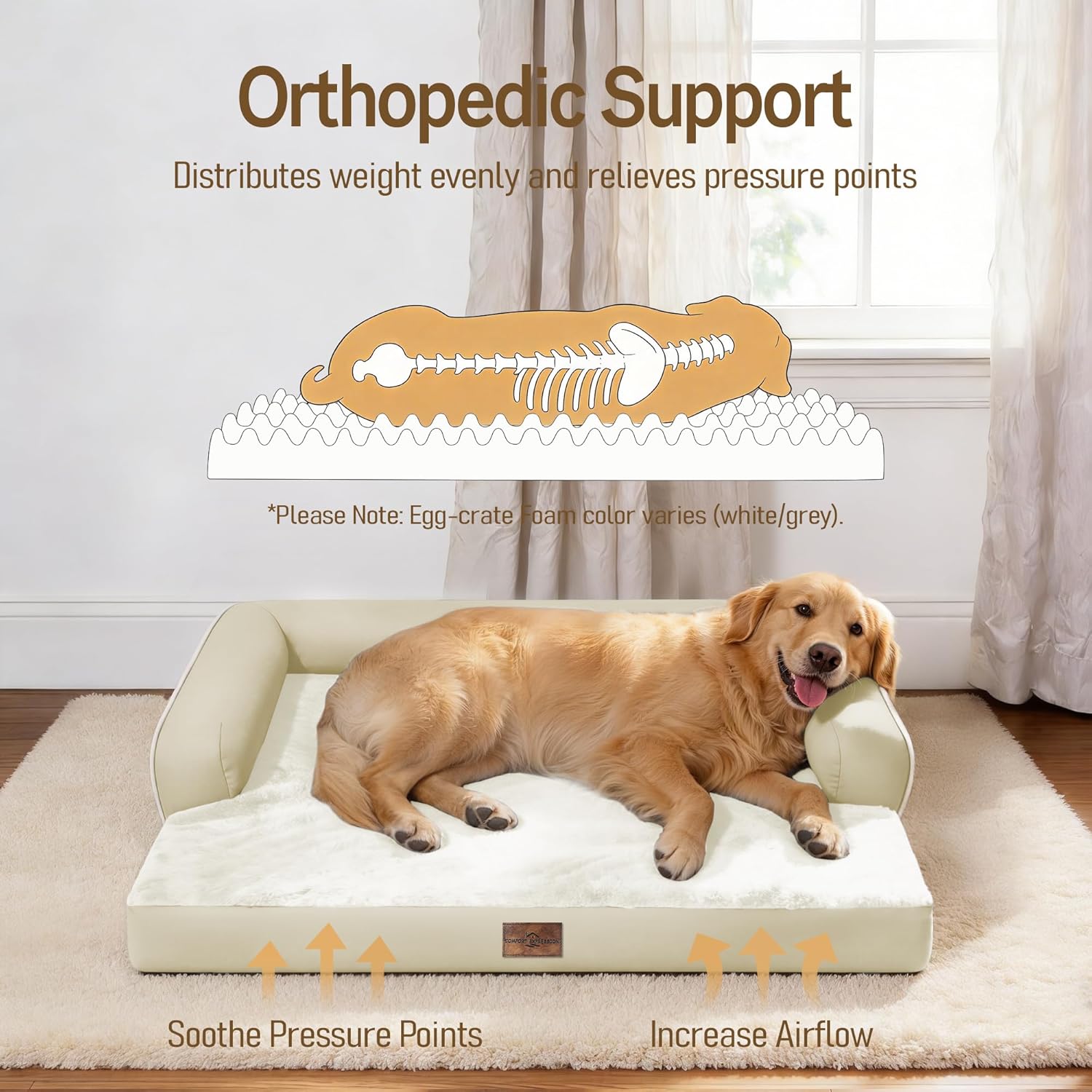 Comfort Expression Memory Foam Large Dog Bed - Waterproof Orthopedic Pet Bed with Washable Removable Cover, Non-Slip Pet Sofa Couch, 36 x 27