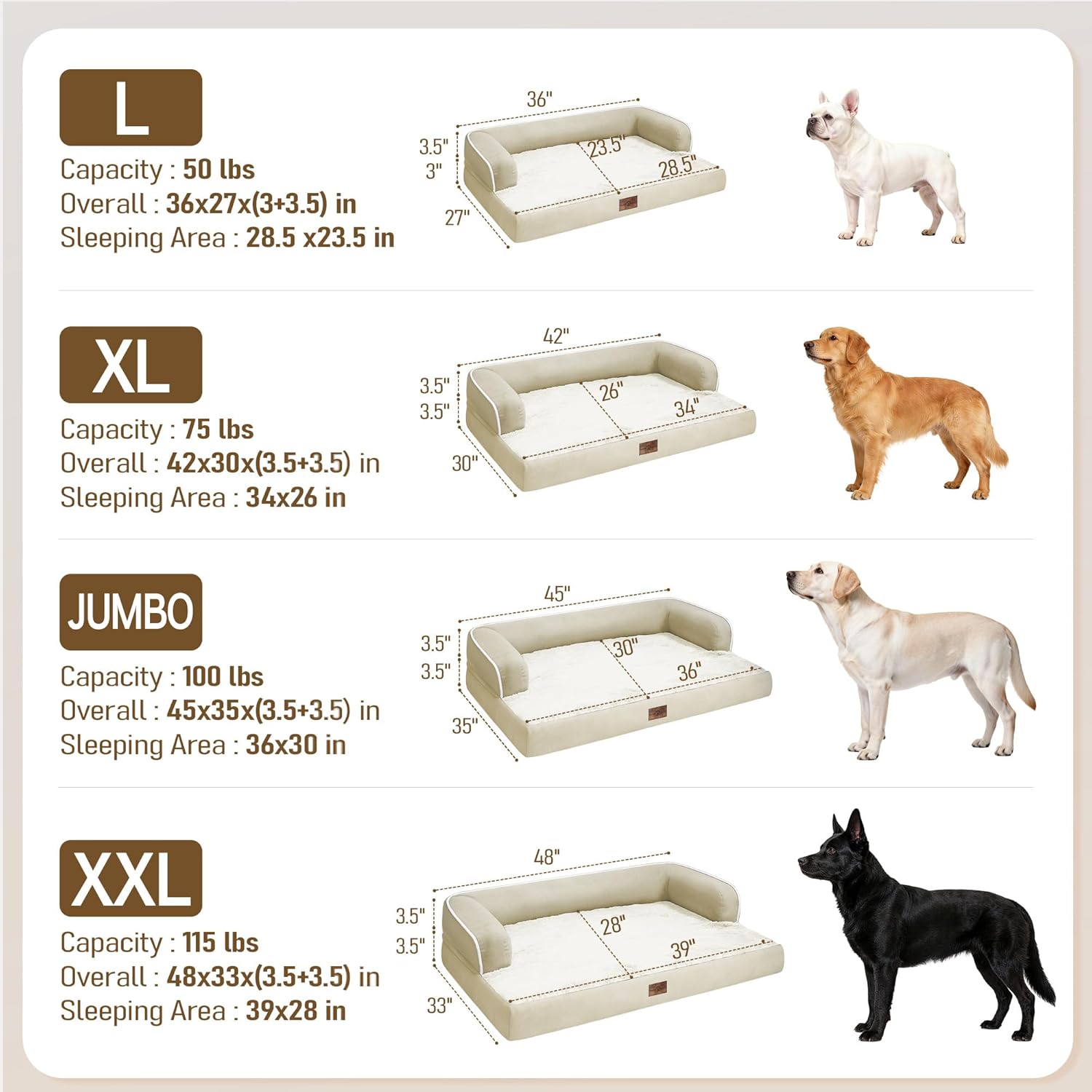 Comfort Expression Memory Foam Large Dog Bed - Waterproof Orthopedic Pet Bed with Washable Removable Cover, Non-Slip Pet Sofa Couch, 36 x 27