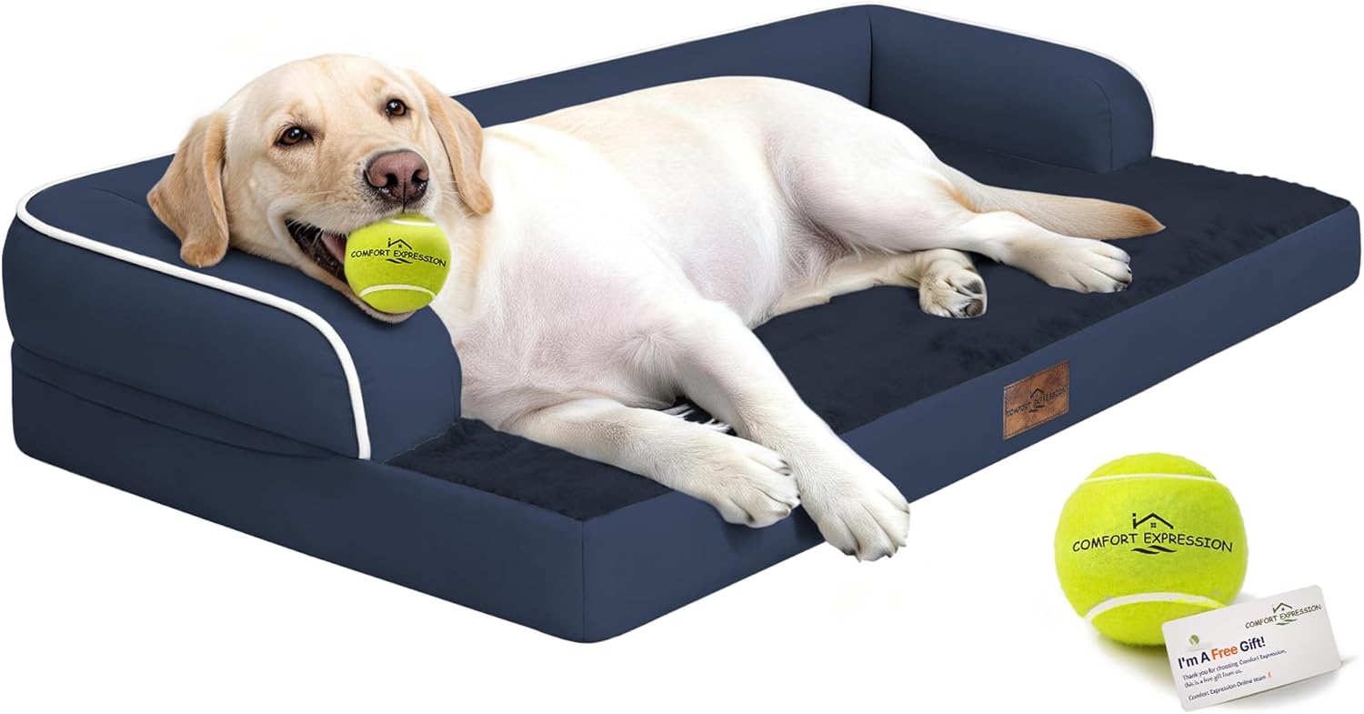 Comfort Expression Washable Orthopedic Dog Bed for Extra Large Sized Dogs | Waterproof Memory Foam Pet Bed 45x35 Inch with Removable Cover with Non-Slip & Bolster, Navy Blue