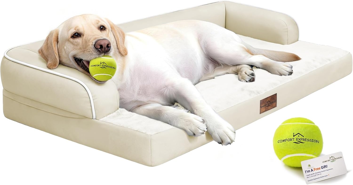Comfort Expression Washable Orthopedic Dog Bed for Extra Large Sized Dogs | Waterproof Memory Foam Pet Bed 45x35 Inch with Removable Cover with Non-Slip & Bolster, Beige