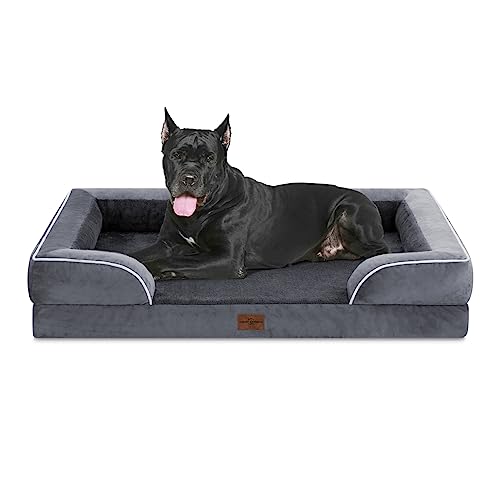 Orthopedic Dog Bed
