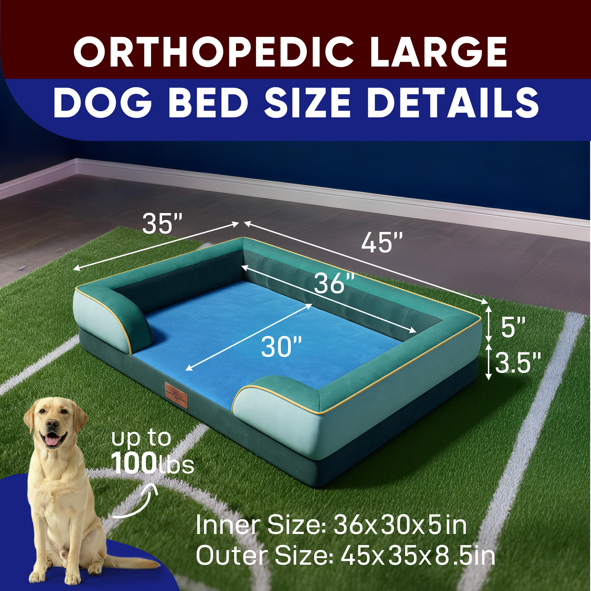 Seattle - World Cup Host City Theme Orthopedic Dog Bed for Large Dogs – Waterproof Egg Crate Foam Pet Bed with Bolsters, Washable Cover & Non-Slip Bottom