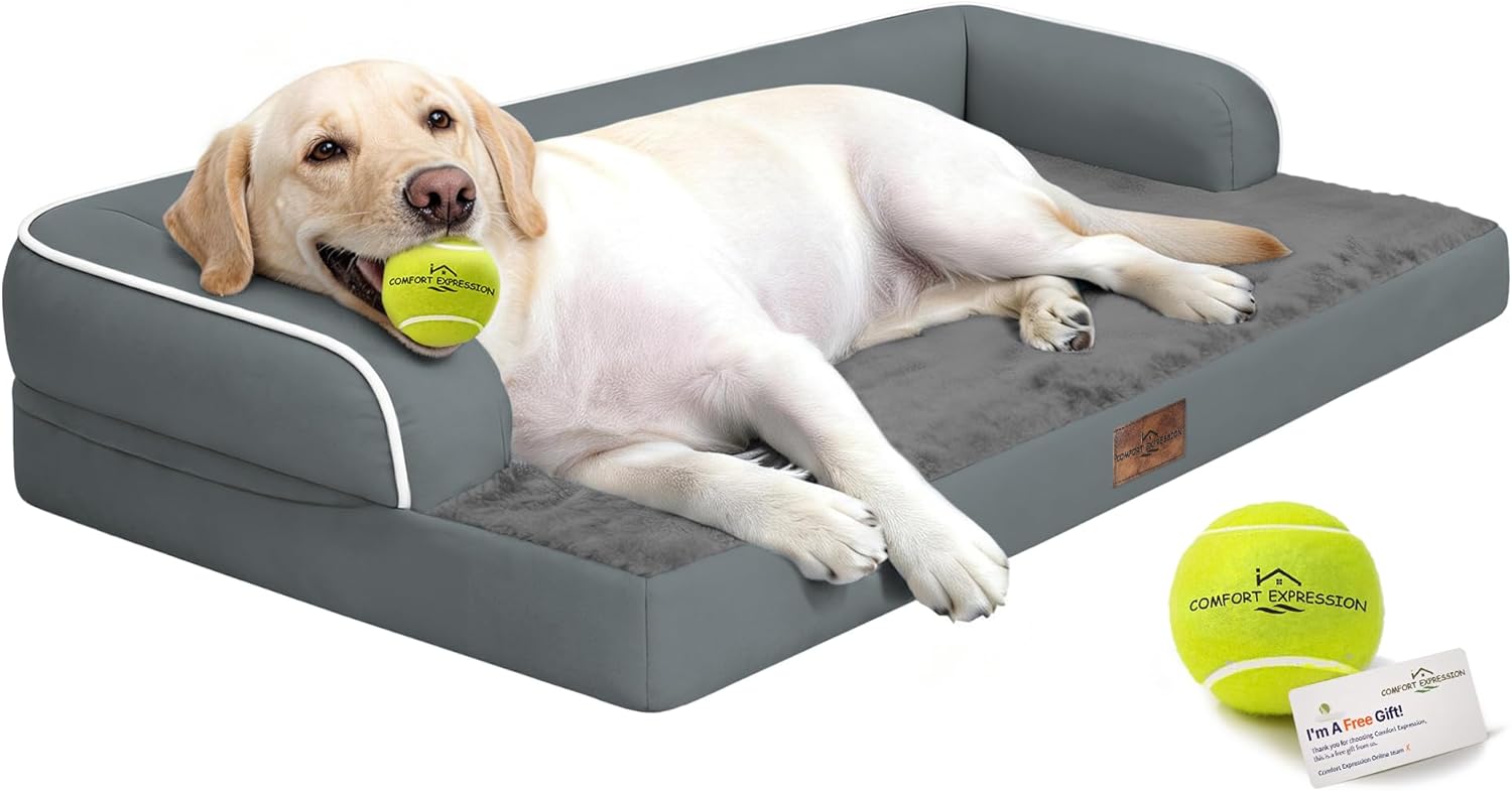 Comfort Expression Washable Orthopedic Dog Bed for Extra Large Sized Dogs | Waterproof Memory Foam Pet Bed 45x35 Inch with Removable Cover with Non-Slip & Bolster, Dark Grey