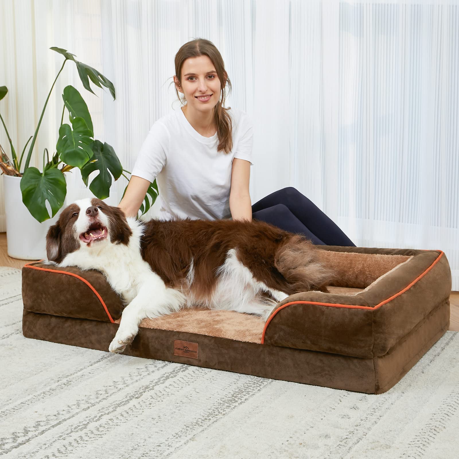 Orthopedic Dog Bed