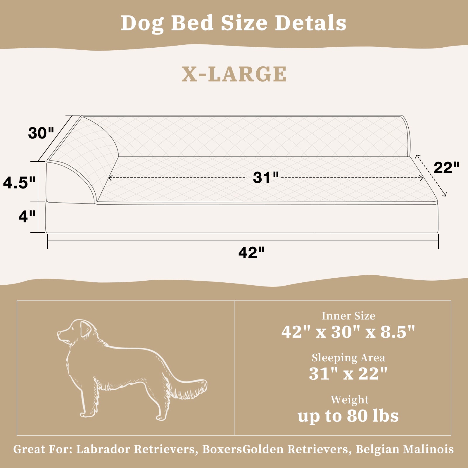 Orthopedic Grey Dog Bed - Medium