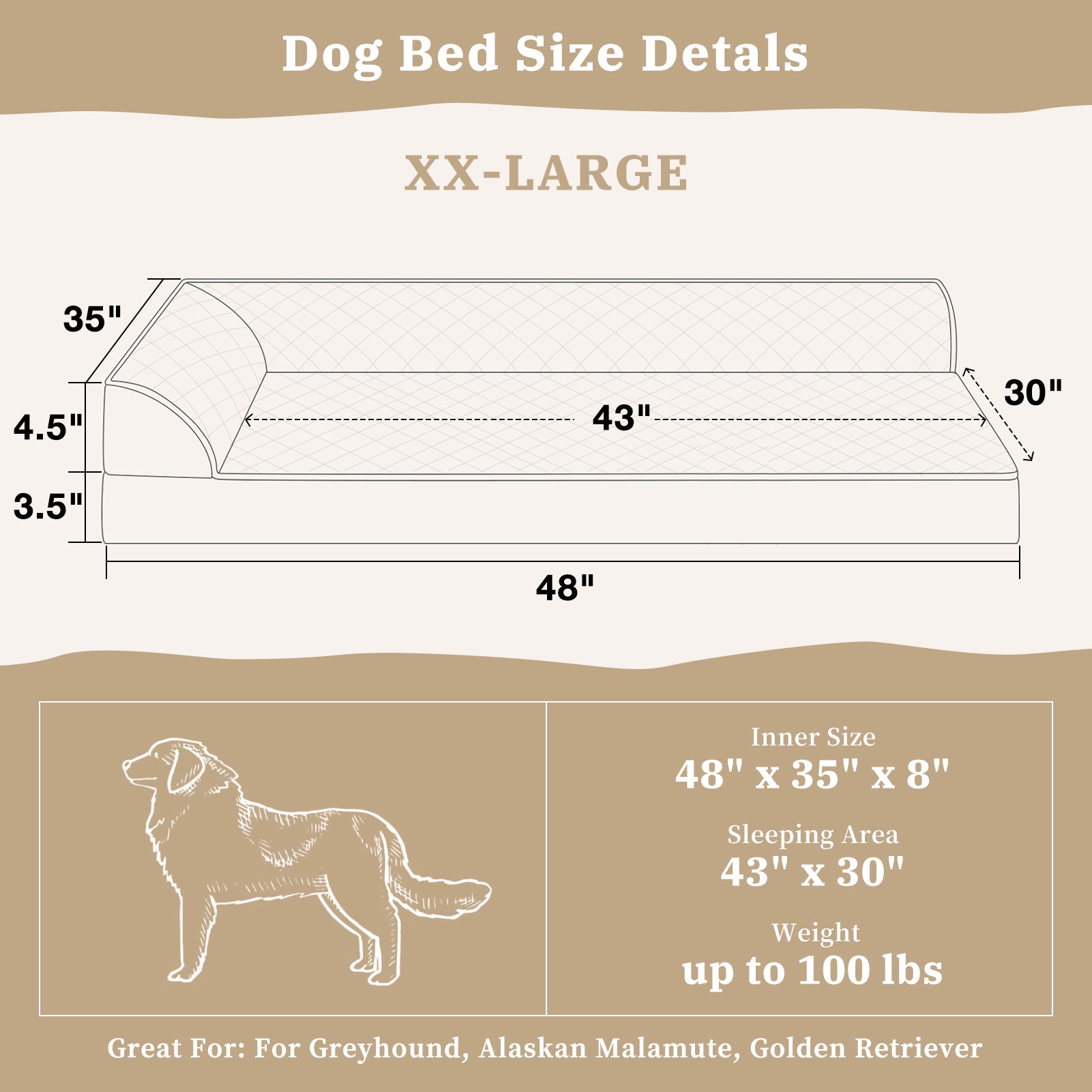 Greyhound bed size best sale